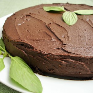 chocolate_mint_cake EDITED - Version 2